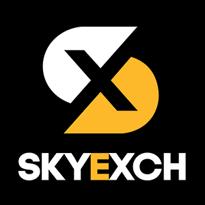 Skyinplay Logo | Skyinpaly